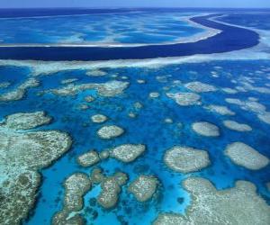 Puzzle Το Great Barrier Reef, κοραλλιογενείς ύφαλοι σε όλο τον κόσμο μεγαλύτερο. Αυστραλία.